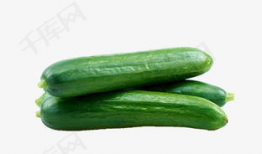 17c免费吃瓜爆料,揭秘娱乐圈幕后真相